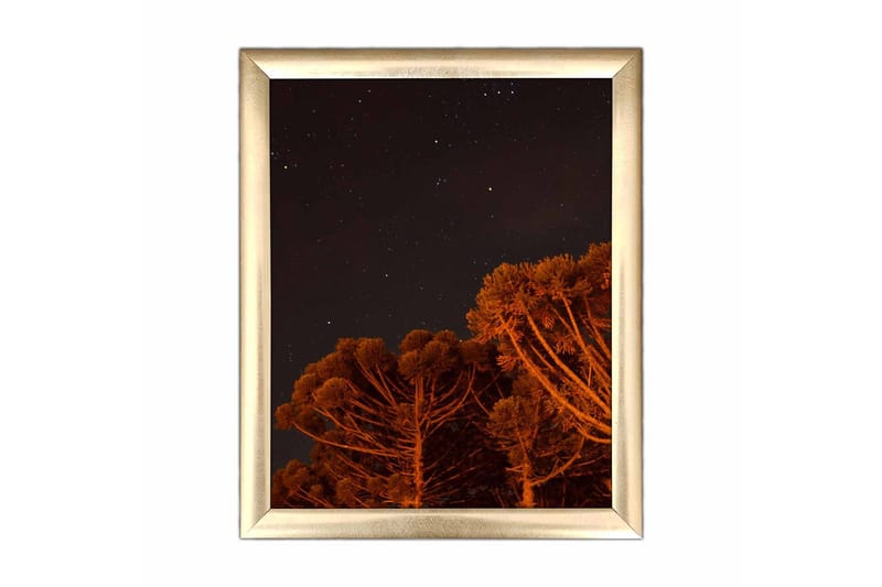 Taulu Nautical kehyksellä Monivärinen, 23,5x28,5 cm