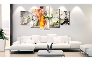 Taulu Orchid And Colors 100x50 - Artgeist sp. z o. o. - Sisustustuotteet - Taulu & taide - Canvas-taulu
