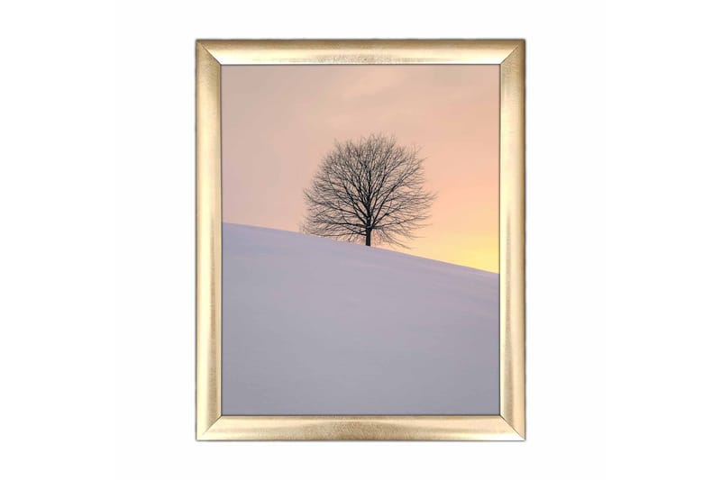 Taulu Scenic kehyksellä Monivärinen - 23,5x28,5 cm - Sisustustuotteet - Taulu & taide