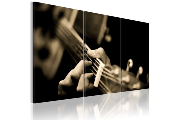 Taulu The Magic Sound Of A Guitar 120x80 - Artgeist sp. z o. o. - Canvas-taulu - Seinäkoristeet