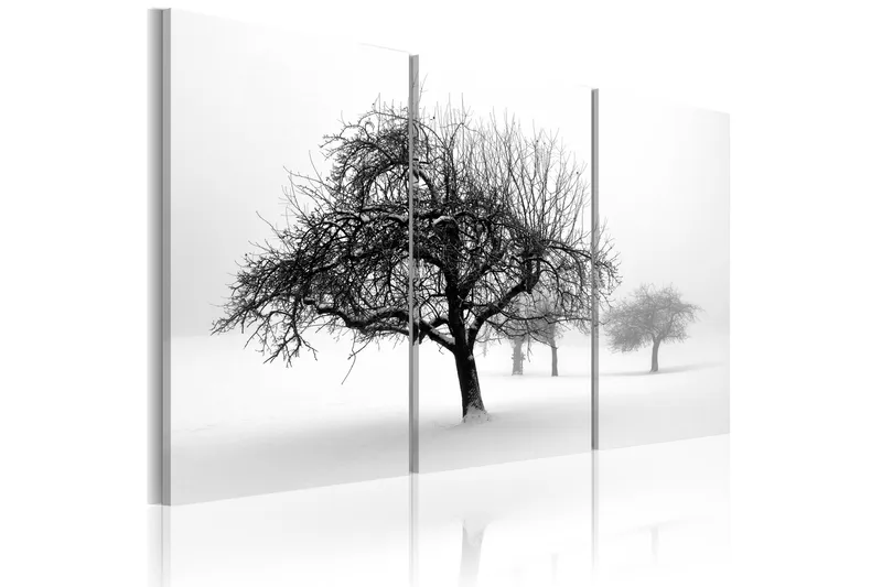 Taulu Trees Submerged In White 120x80, Artgeist sp. z o. o.