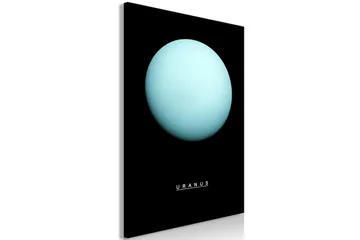 Taulu Uranus (1 Part) Vertical 40x60 - Artgeist sp. z o. o. - Sisustustuotteet - Taulu & taide - Canvas-taulu