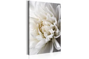 Taulu White Dahlia 80x120 - Artgeist sp. z o. o. - Sisustustuotteet - Taulu & taide - Canvas-taulu