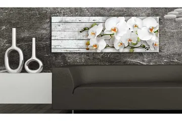 Taulu White Dreams 150x50 - Artgeist sp. z o. o. - Sisustustuotteet - Taulu & taide - Canvas-taulu