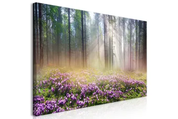 Taulu Purple Meadow (1 Part) Wide 120x60 - Artgeist sp. z o. o. - Sisustustuotteet - Taulu & taide - Canvas-taulu