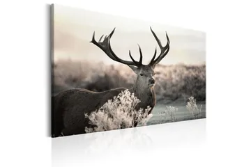Taulu Powerful Horns 120x80 - Artgeist sp. z o. o. - Sisustustuotteet - Taulu & taide - Canvas-taulu