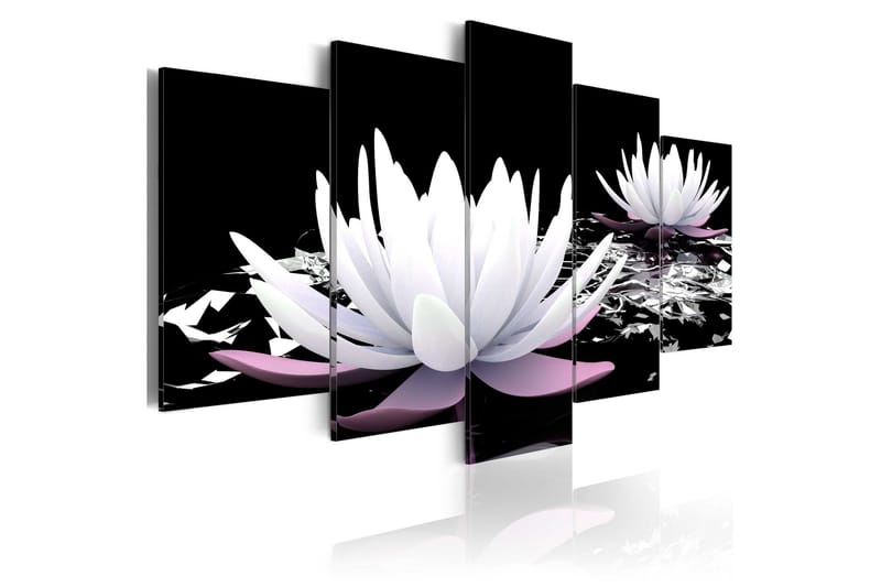 Taulu Passing Beauty 100x50 - Artgeist sp. z o. o. - Sisustustuotteet - Taulu & taide - Canvas-taulu