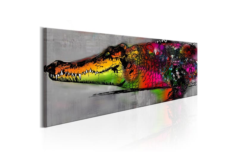 Tavla Colourful Alligator VALUE_MISSING_2 120x40, undefined