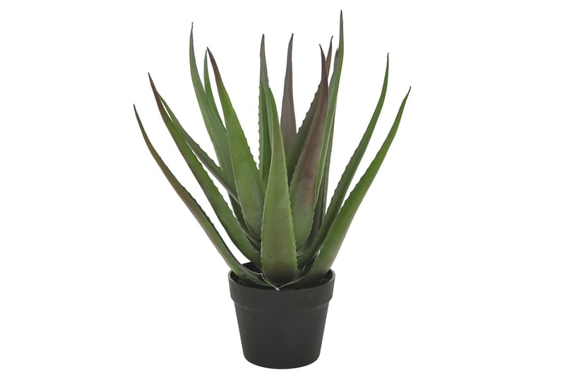 Aloevera kasvi ruukussa - Vihreä/Musta - Parvekekukat - Tekokasvit