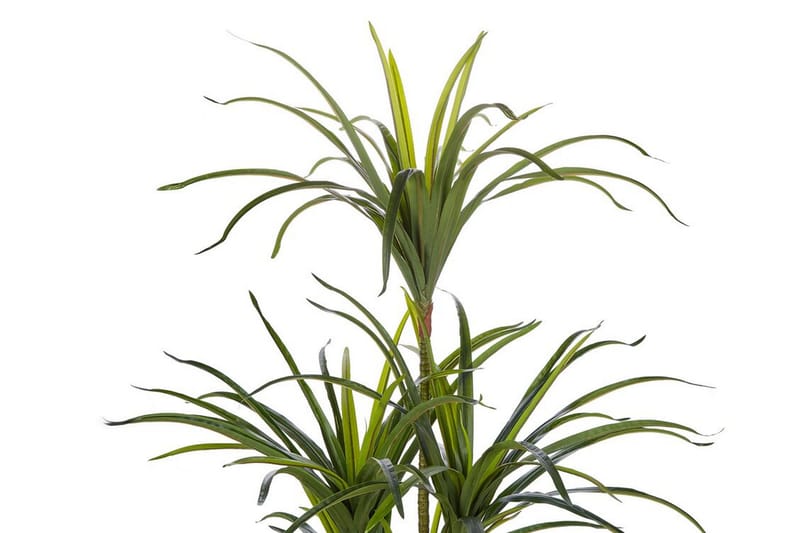 Tekokasvi Beauden 147 cm Dracaena anita - Vihreä - Parvekekukat - Tekokasvit