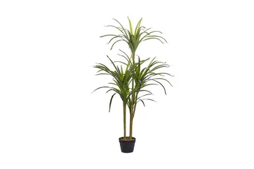 Tekokasvi Beauden 147 cm Dracaena anita - Vihreä - Sisustustuotteet - Tekokasvit