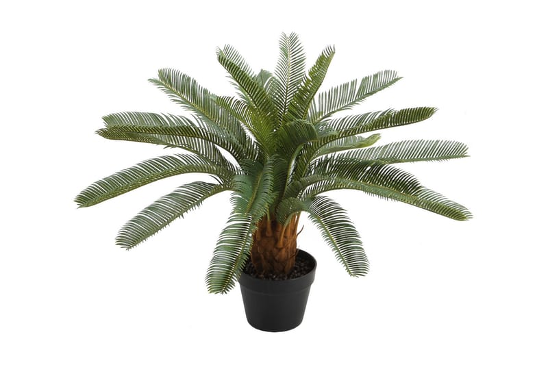 Tekokasvi Cycas K70 cm - Parvekekukat - Tekokasvit