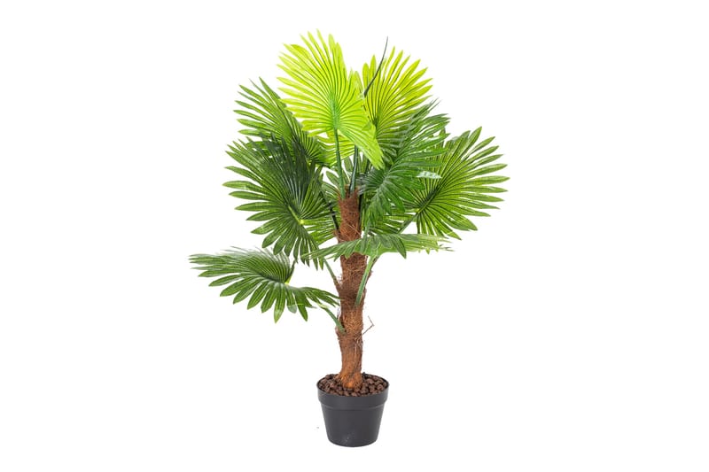 Tekokasvi Fan Palm K100 cm - Parvekekukat - Tekokasvit