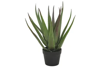 Tekokasvi Moganas Aloevera 50 cm - Vihreä - Sisustustuotteet - Tekokasvit