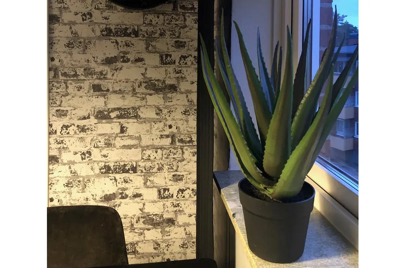 Tekokasvi Moganas Aloevera 50 cm - Vihreä - Sisustustuotteet - Tekokasvit