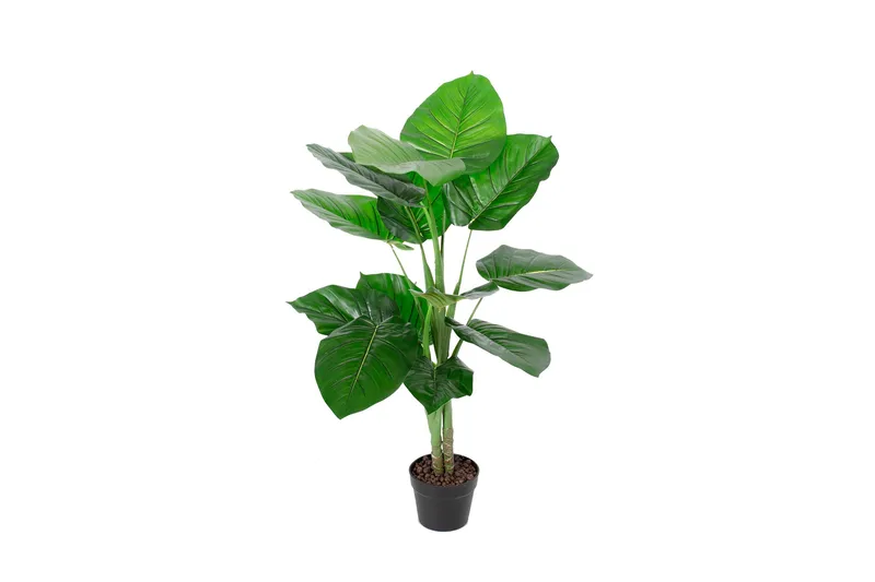 Tekokasvi Pothos K90 cm, undefined