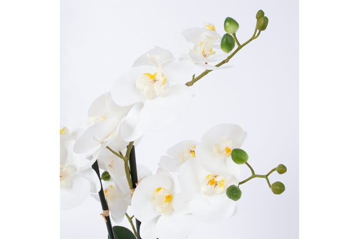 Tekokukka Orkidea In Garden Valkoinen - Parvekekukat - Tekokasvit