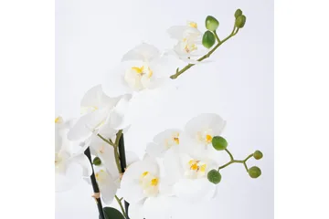 Tekokukka Orkidea In Garden Valkoinen - Sisustustuotteet - Tekokasvit