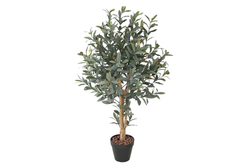 Tekopuu Olive K90 cm - Parvekekukat - Tekokasvit