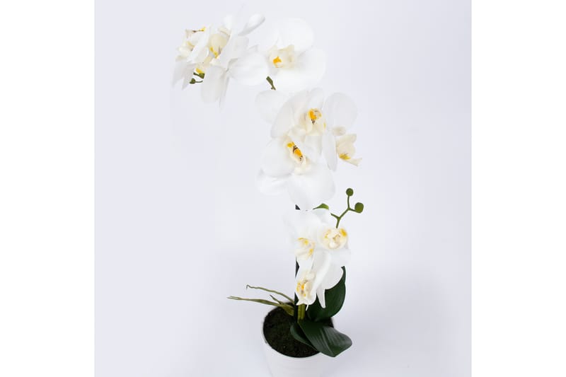 Valkoinen Orkidea 51 cm Valkoisessa Ruukussa - Sisustustuotteet - Tekokasvit