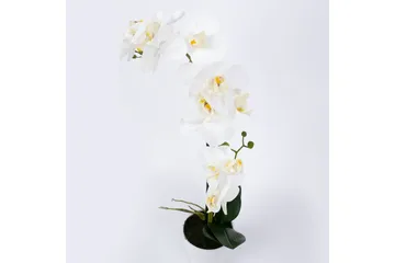 Valkoinen Orkidea 51 cm Valkoisessa Ruukussa - Sisustustuotteet - Tekokasvit