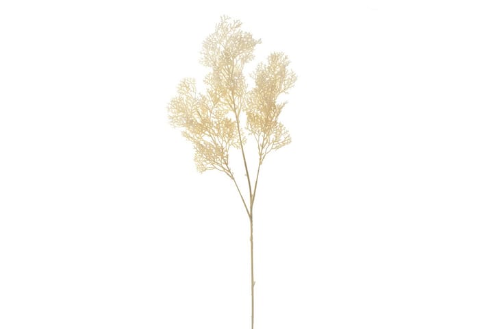 White Cypress Bloom - AmandaB - Tekokasvit - Parvekekukat