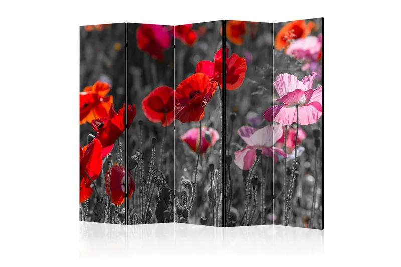 Kadira Rumsavdelare 172x225 cm VALUE_MISSING_1, undefined