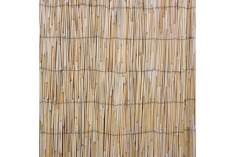 Kaislasermi In Garden, undefined