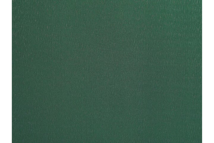 Seinäseinä 5 paneelia 270 x 170 cm Vihreä NARNI - Vihreä - Tilanjakaja & sermi - Sermiseinä