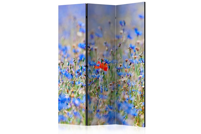 Tilanjakaja A Sky-Colored Meadow - Cornflowers - Artgeist sp. z o. o. - Sisustustuotteet - Tilanjakaja & sermi