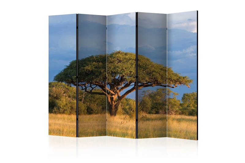 Tilanjakaja African acacia tree, Hwange 225x172, Artgeist sp. z o. o.