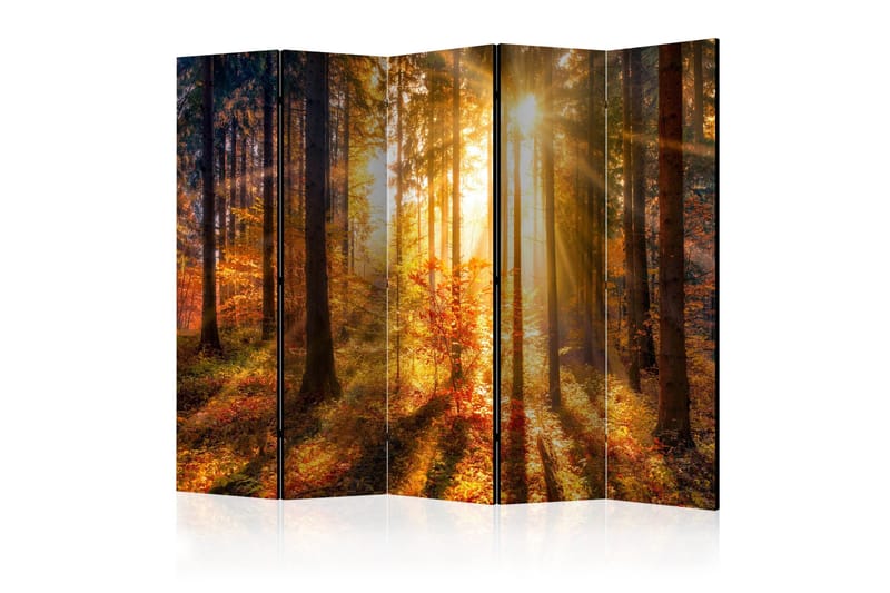 Tilanjakaja Autumn Awakening II 225x172, Artgeist sp. z o. o.