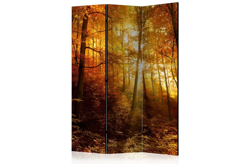 Tilanjakaja Autumn Illumination 135x172, Artgeist sp. z o. o.