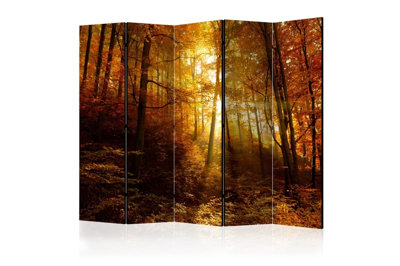 Tilanjakaja Autumn Illumination II 225x172 - Artgeist sp. z o. o. - Sisustustuotteet - Tilanjakaja & sermi