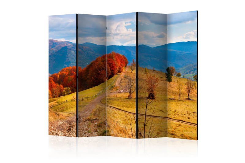 Tilanjakaja Autumn landscape in the Carpathian 225x172 - Artgeist sp. z o. o. - Sisustustuotteet - Tilanjakaja & sermi