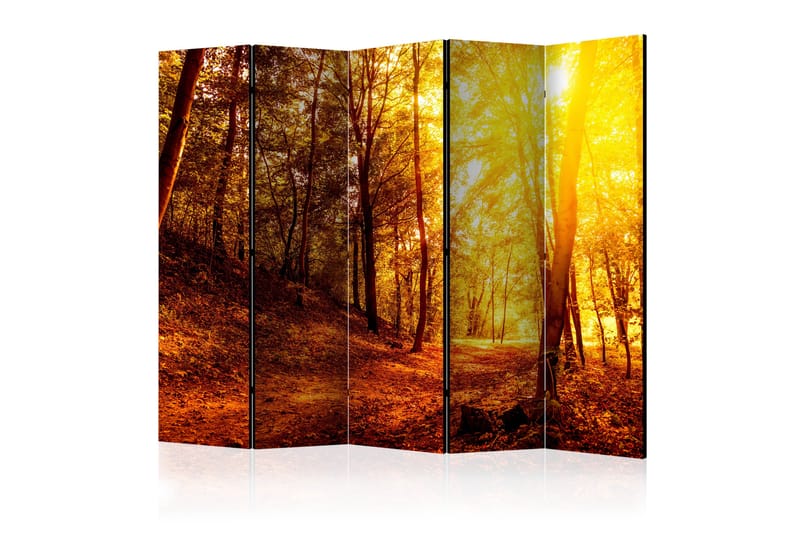 Tilanjakaja Autumn Walk II 225x172 - Artgeist sp. z o. o. - Sisustustuotteet - Tilanjakaja & sermi