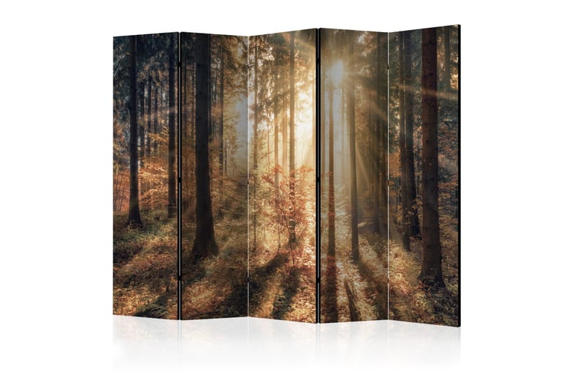 Tilanjakaja Autumnal Forest II 225x172 - Artgeist sp. z o. o. - Sisustustuotteet - Tilanjakaja & sermi
