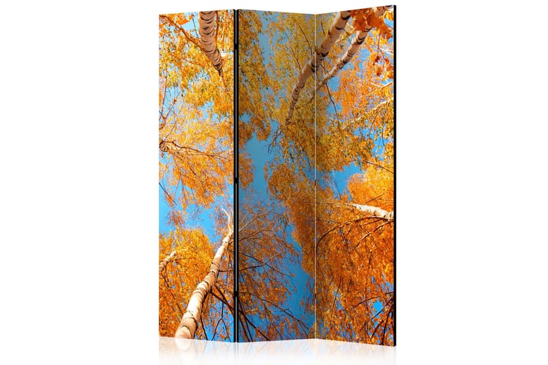 Tilanjakaja Autumnal treetops 135x172, Artgeist sp. z o. o.