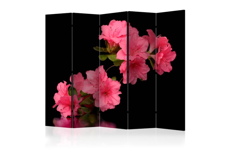Tilanjakaja Azalea in Black II, Artgeist sp. z o. o.