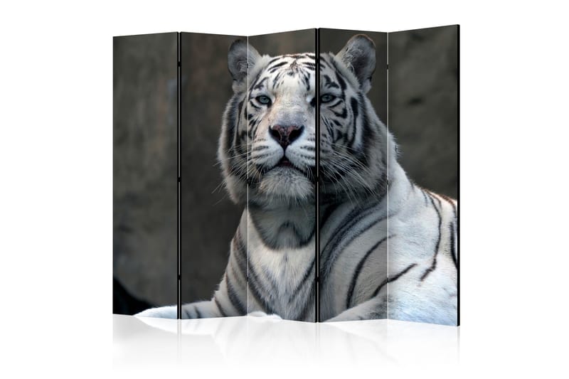 Tilanjakaja Bengali tiger in zoo II 225x172 - Artgeist sp. z o. o. - Sisustustuotteet - Tilanjakaja & sermi