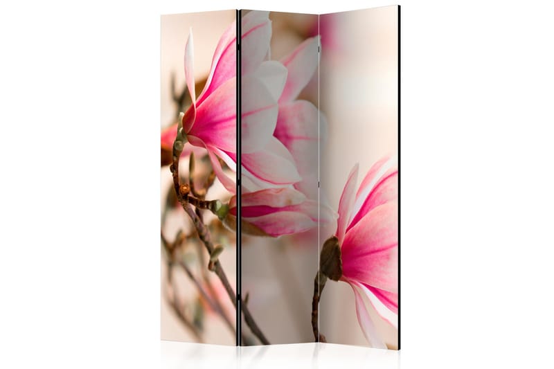 Tilanjakaja Branch of magnolia tree 135x172, Artgeist sp. z o. o.