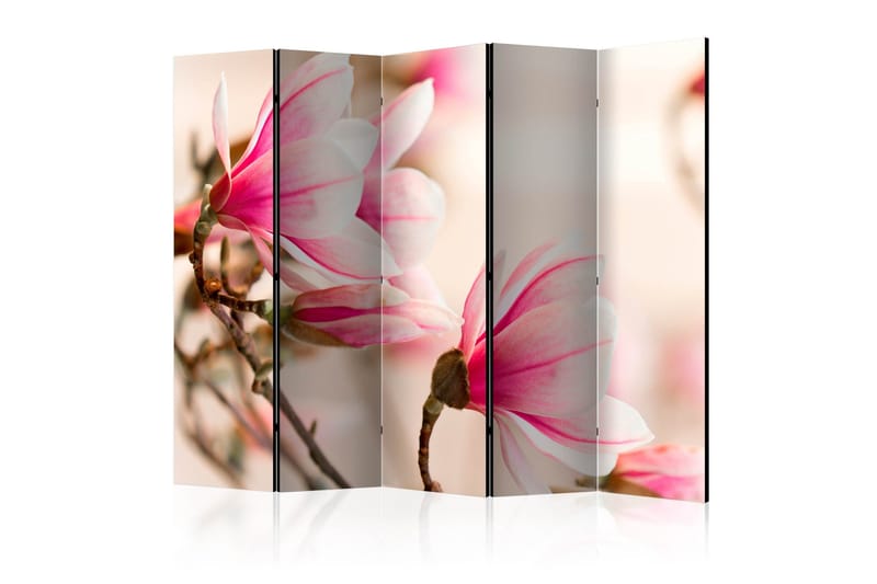 Tilanjakaja Branch of magnolia tree II 225x172, Artgeist sp. z o. o.