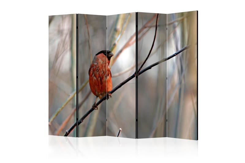 Tilanjakaja Bullfinch in the forest II 225x172, Artgeist sp. z o. o.