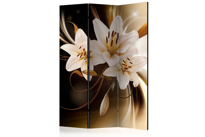 Tilanjakaja Circle Of Light 135x172, Artgeist sp. z o. o.