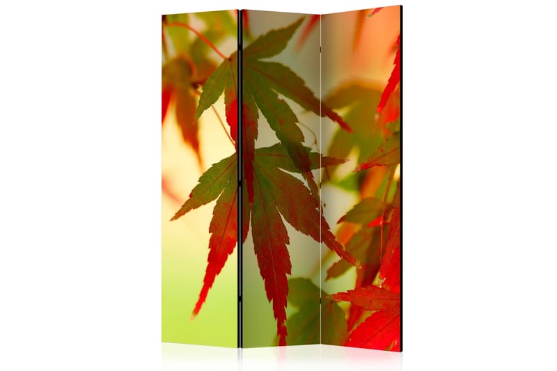 Tilanjakaja Colourful leaves 135x172, Artgeist sp. z o. o.