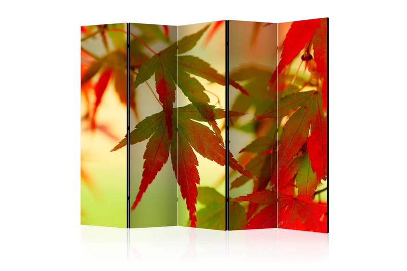 Tilanjakaja Colourful leaves II 225x172, Artgeist sp. z o. o.