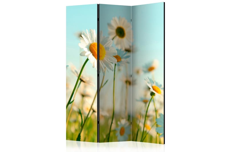 Tilanjakaja Daisies - spring meadow 135x172, Artgeist sp. z o. o.