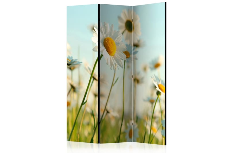 Tilanjakaja Daisies - Spring Meadow - Artgeist sp. z o. o. - Sisustustuotteet - Tilanjakaja & sermi