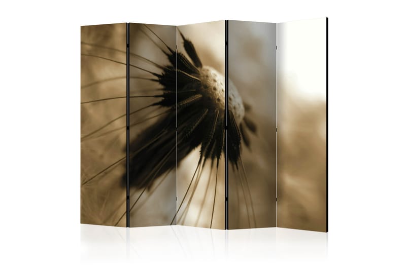 Tilanjakaja dandelion - sepia II 225x172 - Artgeist sp. z o. o. - Sisustustuotteet - Tilanjakaja & sermi