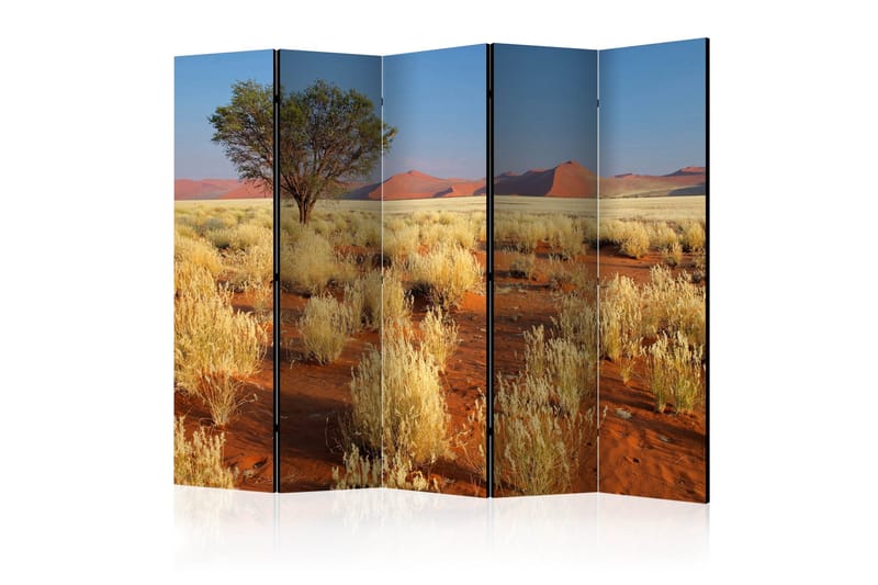 Tilanjakaja Desert landscape, Namibia II 225x172, Artgeist sp. z o. o.